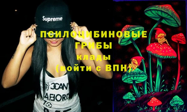 хмурый Куйбышев