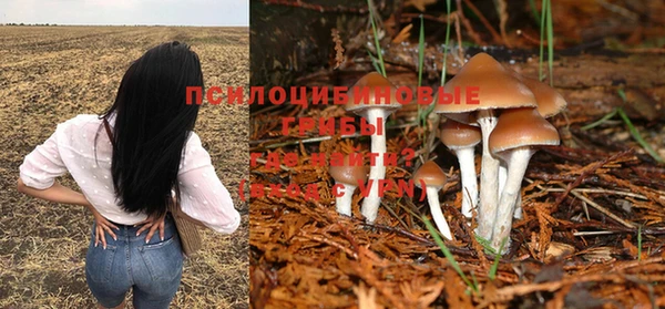 кокс Кулебаки