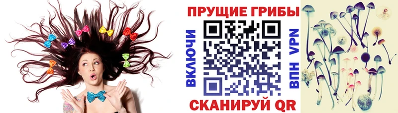 kraken онион  shop состав  Галлюциногенные грибы прущие грибы  Дыгулыбгей 